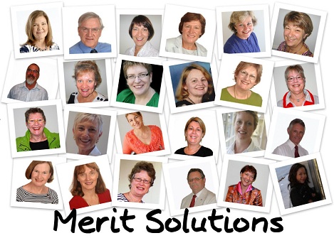 Merit Solutions Team
