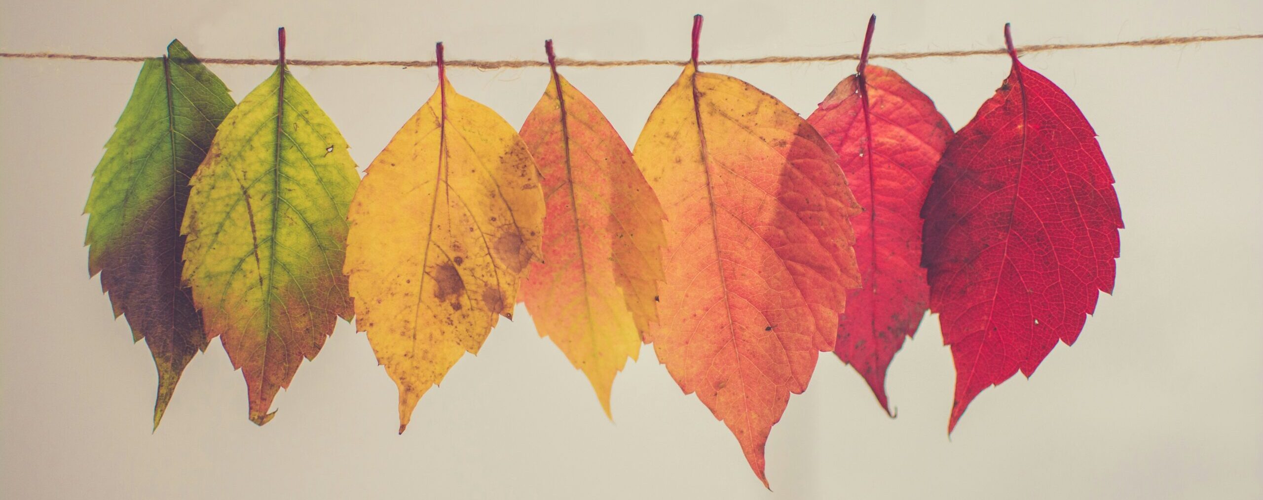 change-management-headerimg